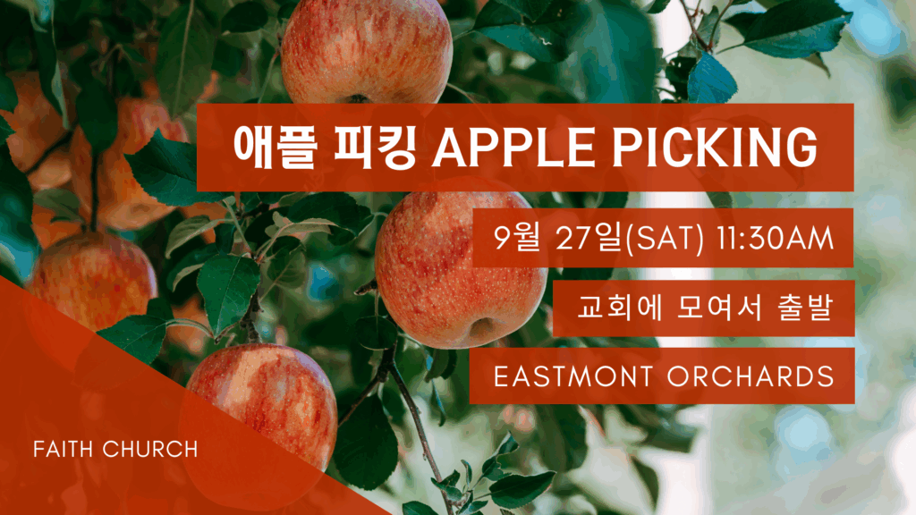 애플 피킹